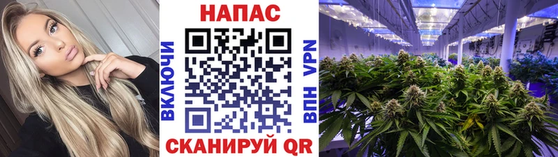 Наркошоп купить A PVP  Мефедрон  Конопля  COCAIN  Новомичуринск