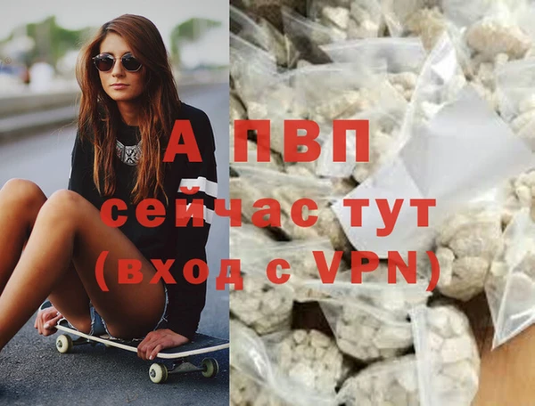 дживик Нефтекумск