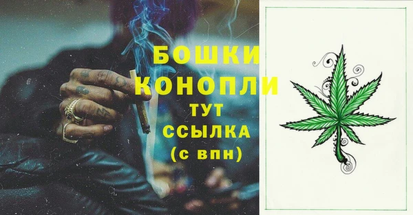 дживик Нефтекумск