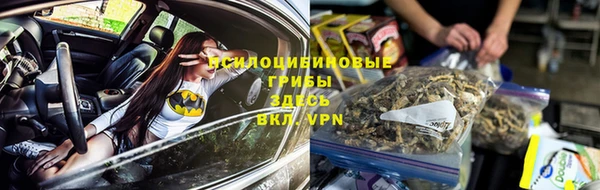 гашик Нефтегорск