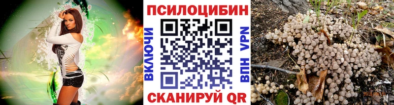 Псилоцибиновые грибы GOLDEN TEACHER  Купить где  Новомичуринск 