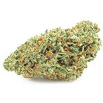 Шишки OG Kush  (Гидропоника, бошки) VHQ в Новомичуринске